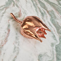 Pink Lotus Bud – Preserved Botanical Object
