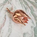 Pink Lotus Bud – Preserved Botanical Object