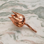 Pink Lotus Bud – Preserved Botanical Object